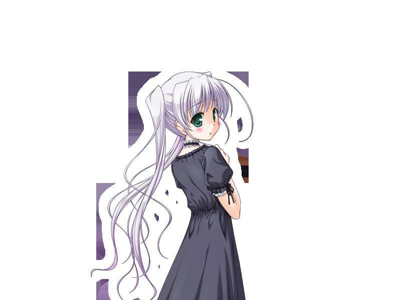 [080125]FORTUNE ARTERIAL 1199/2399 