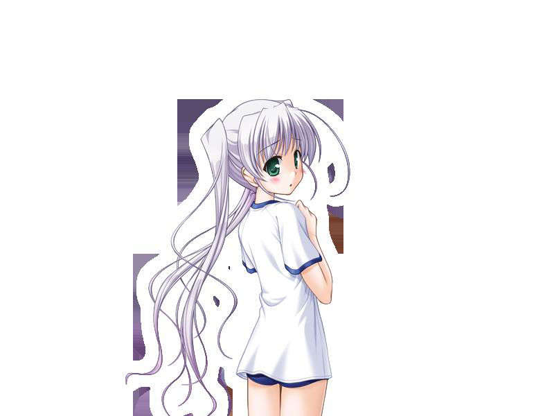 [080125]FORTUNE ARTERIAL 1226/2399 