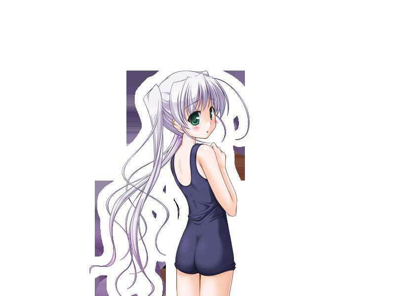 [080125]FORTUNE ARTERIAL 1244/2399 