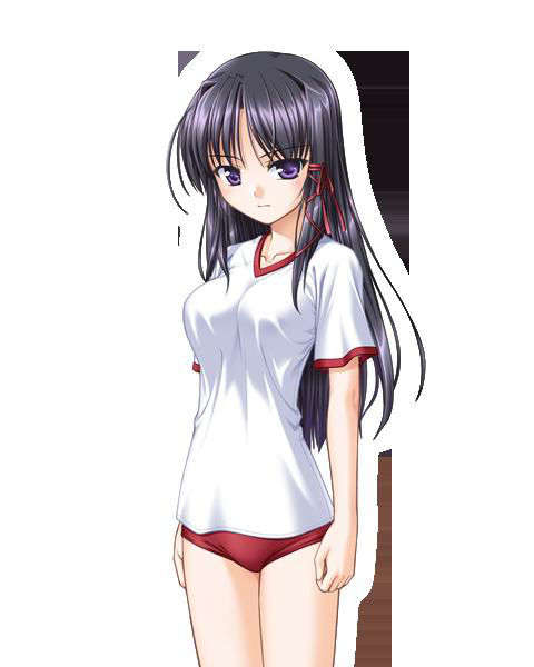 [080125]FORTUNE ARTERIAL 1447/2399 
