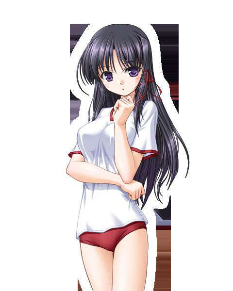 [080125]FORTUNE ARTERIAL 1449/2399 