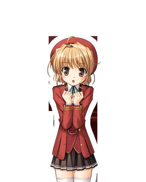 [080125]FORTUNE ARTERIAL 1512/2399 