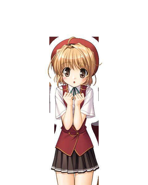 [080125]FORTUNE ARTERIAL 1531/2399 