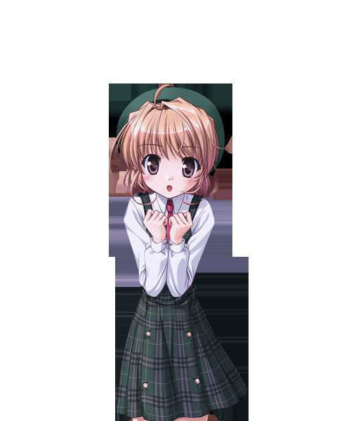 [080125]FORTUNE ARTERIAL 1623/2399 