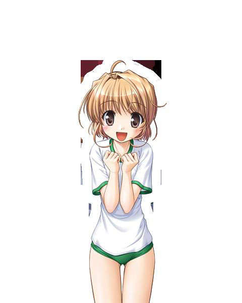 [080125]FORTUNE ARTERIAL 1716/2399 