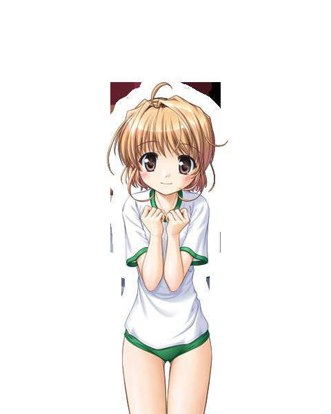 [080125]FORTUNE ARTERIAL 1723/2399 