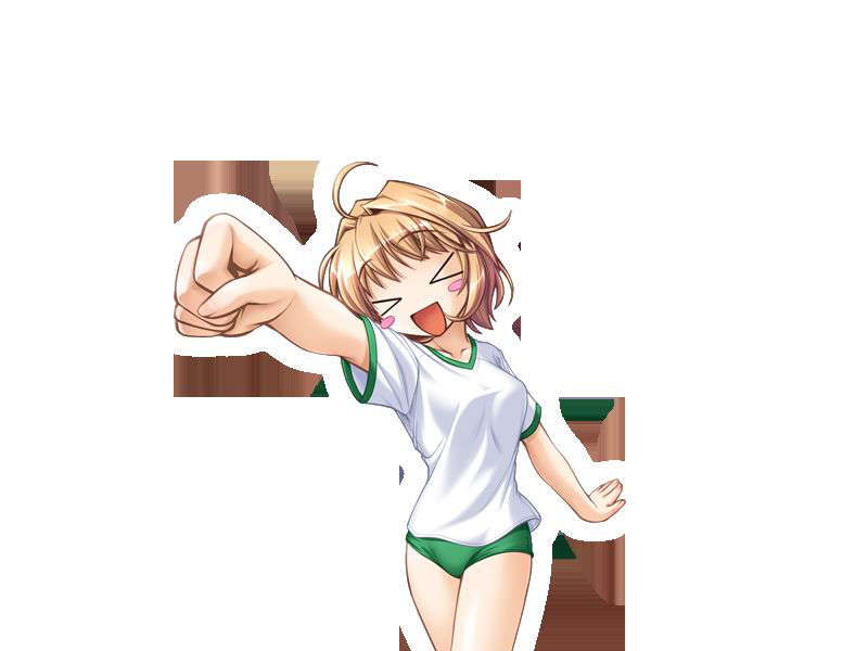 [080125]FORTUNE ARTERIAL 1731/2399 