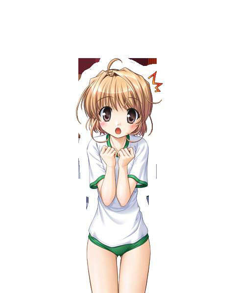 [080125]FORTUNE ARTERIAL 1732/2399 