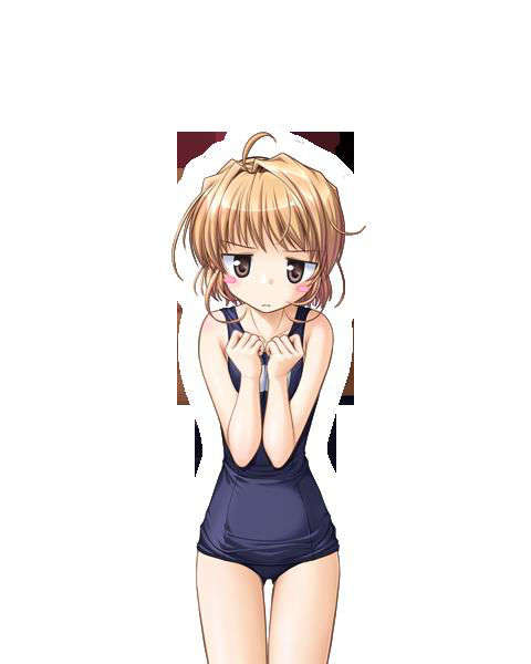 [080125]FORTUNE ARTERIAL 1754/2399 