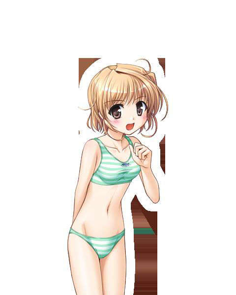 [080125]FORTUNE ARTERIAL 1764/2399 