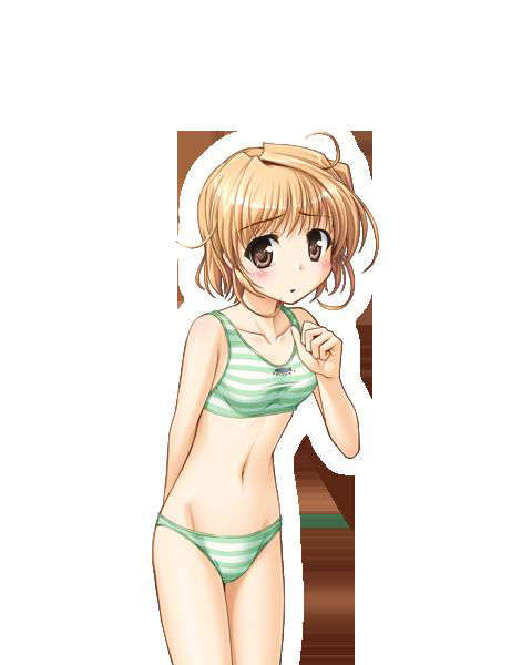 [080125]FORTUNE ARTERIAL 1766/2399 