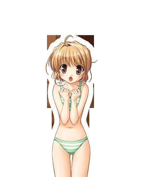 [080125]FORTUNE ARTERIAL 1769/2399 