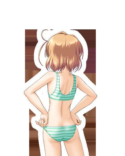 [080125]FORTUNE ARTERIAL 1778/2399 