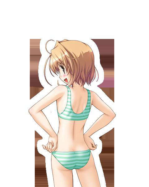 [080125]FORTUNE ARTERIAL 1779/2399 