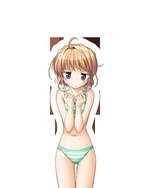 [080125]FORTUNE ARTERIAL 1781/2399 