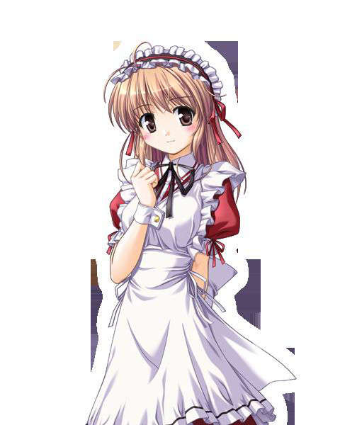 [080125]FORTUNE ARTERIAL 2016/2399 