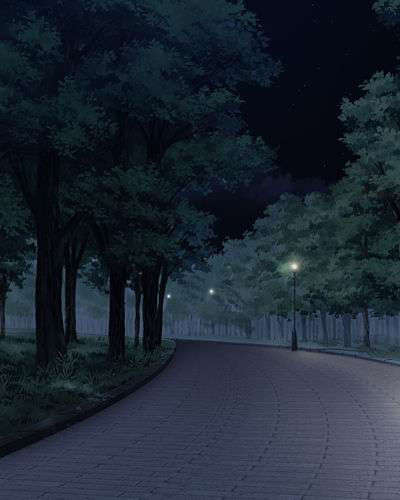 [080125]FORTUNE ARTERIAL 2371/2399 