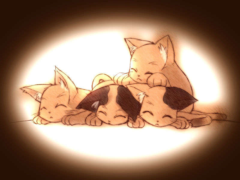 [HCG]モエかん 214/494 