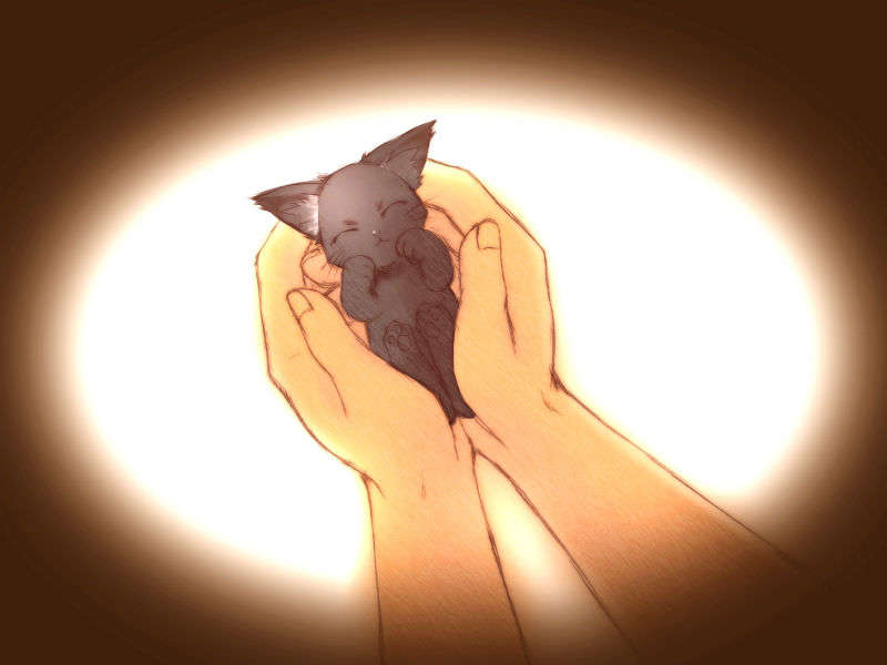 [HCG]モエかん 215/494 