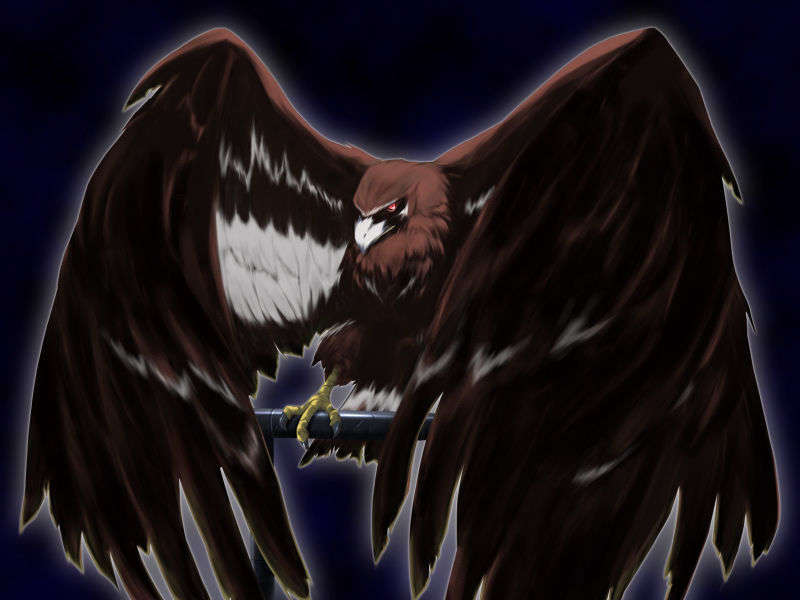 [HCG]モエかん 219/494 