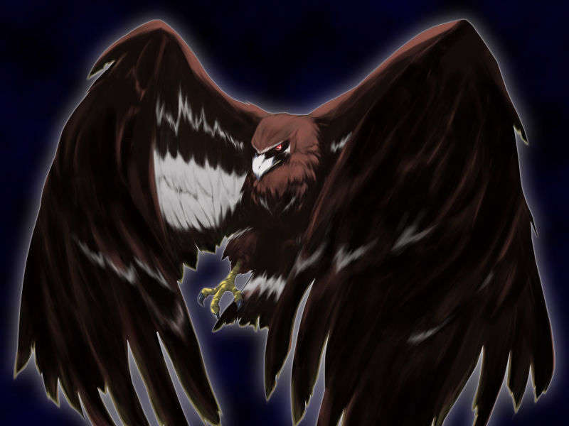 [HCG]モエかん 220/494 