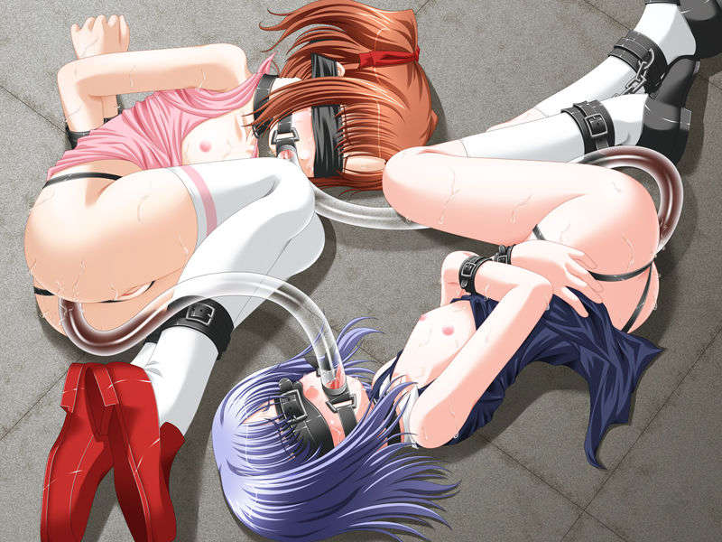 (同人CG集) [目隠し娘] 目隠し少女－肛虐レズ調教編－ 181/235 