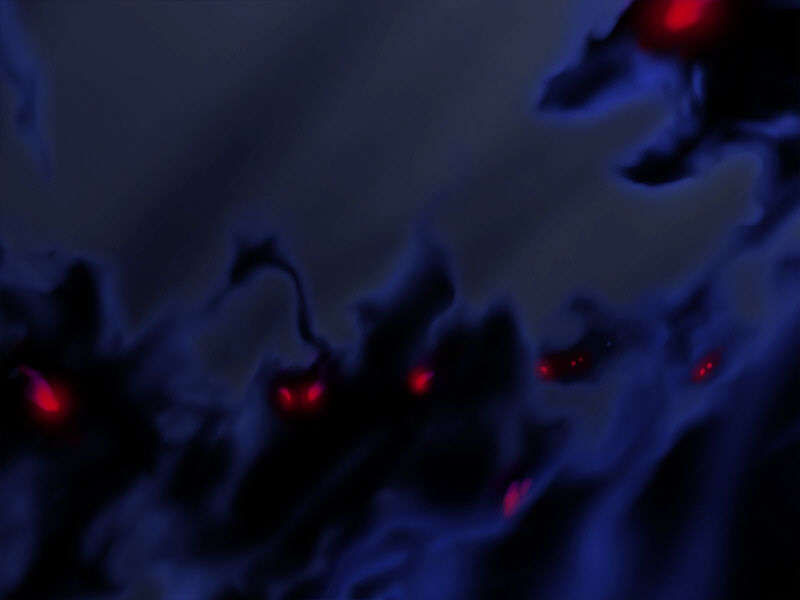 [051028]Fate hollow ataraxia_CG100% 372/676 