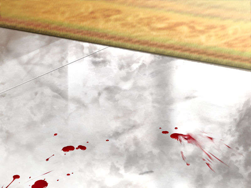 [051028]Fate hollow ataraxia_CG100% 411/676 