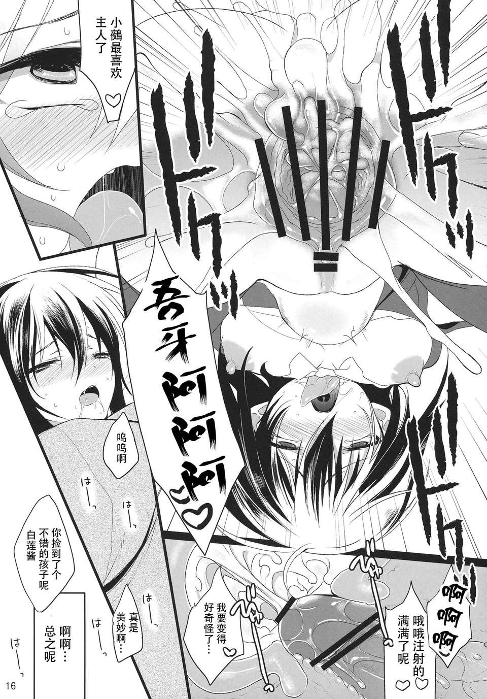 【CE家族社】(C78) [スペルノーヴァ (雪町燈之助)] 名もなき鳥 (東方Project)[淩雲塚 鵺子個人漢化] 17/23 