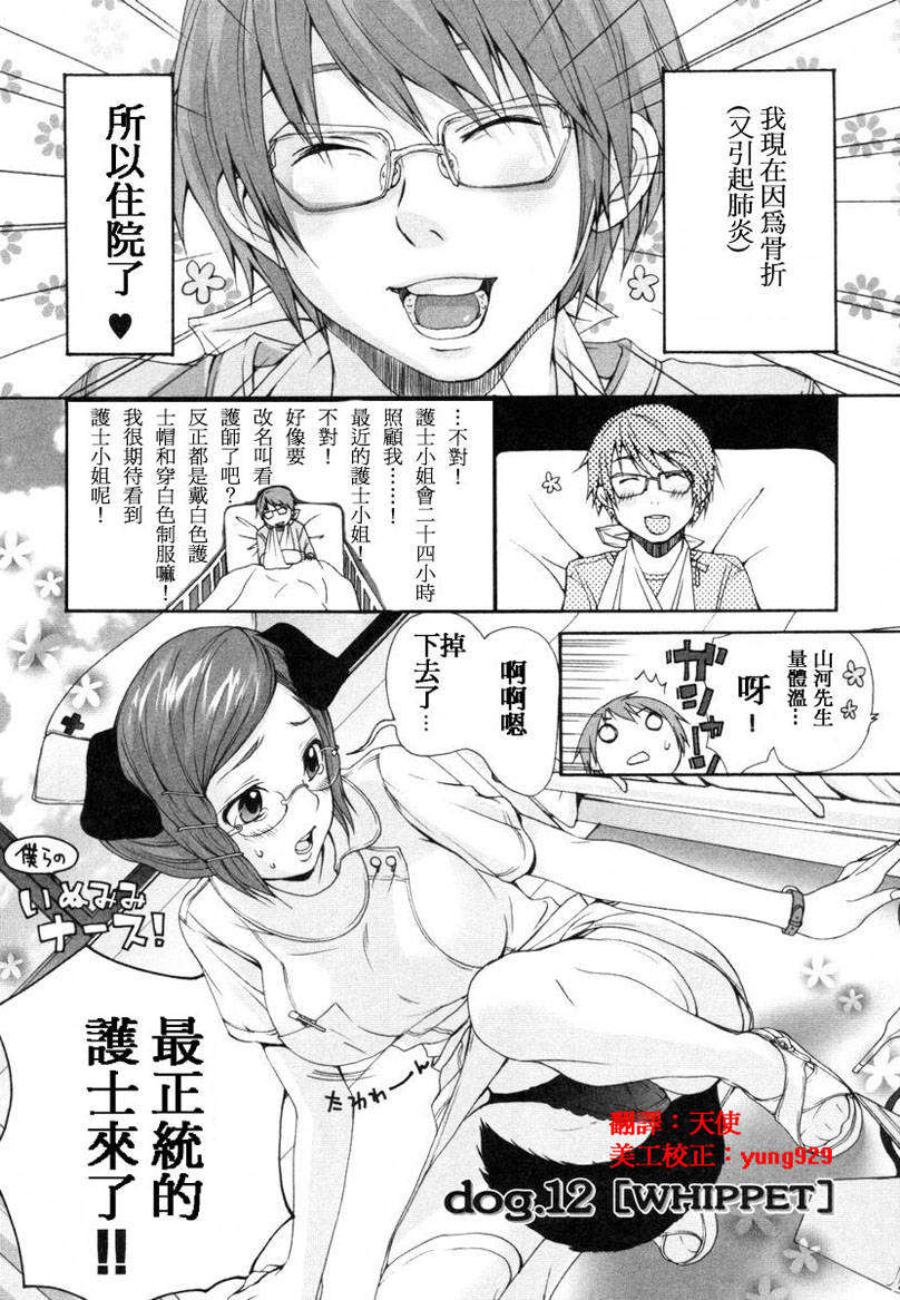 [いぬぶろ] いぬみみずかん 80/291 