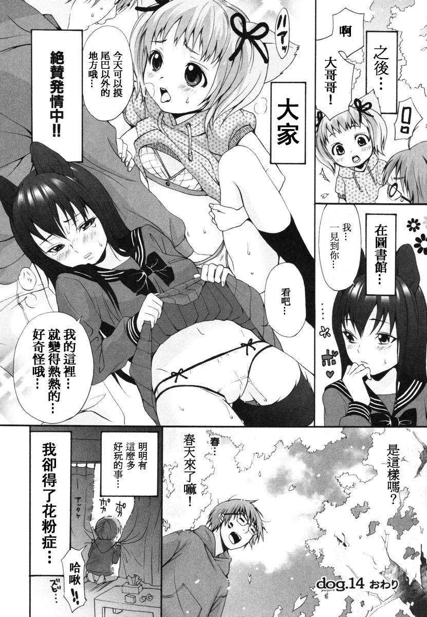 [いぬぶろ] いぬみみずかん 96/291 