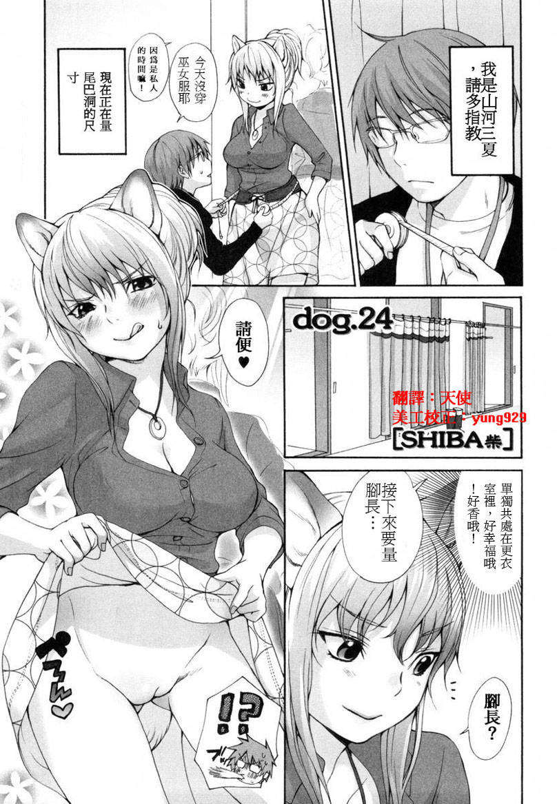 [いぬぶろ] いぬみみずかん 175/291 