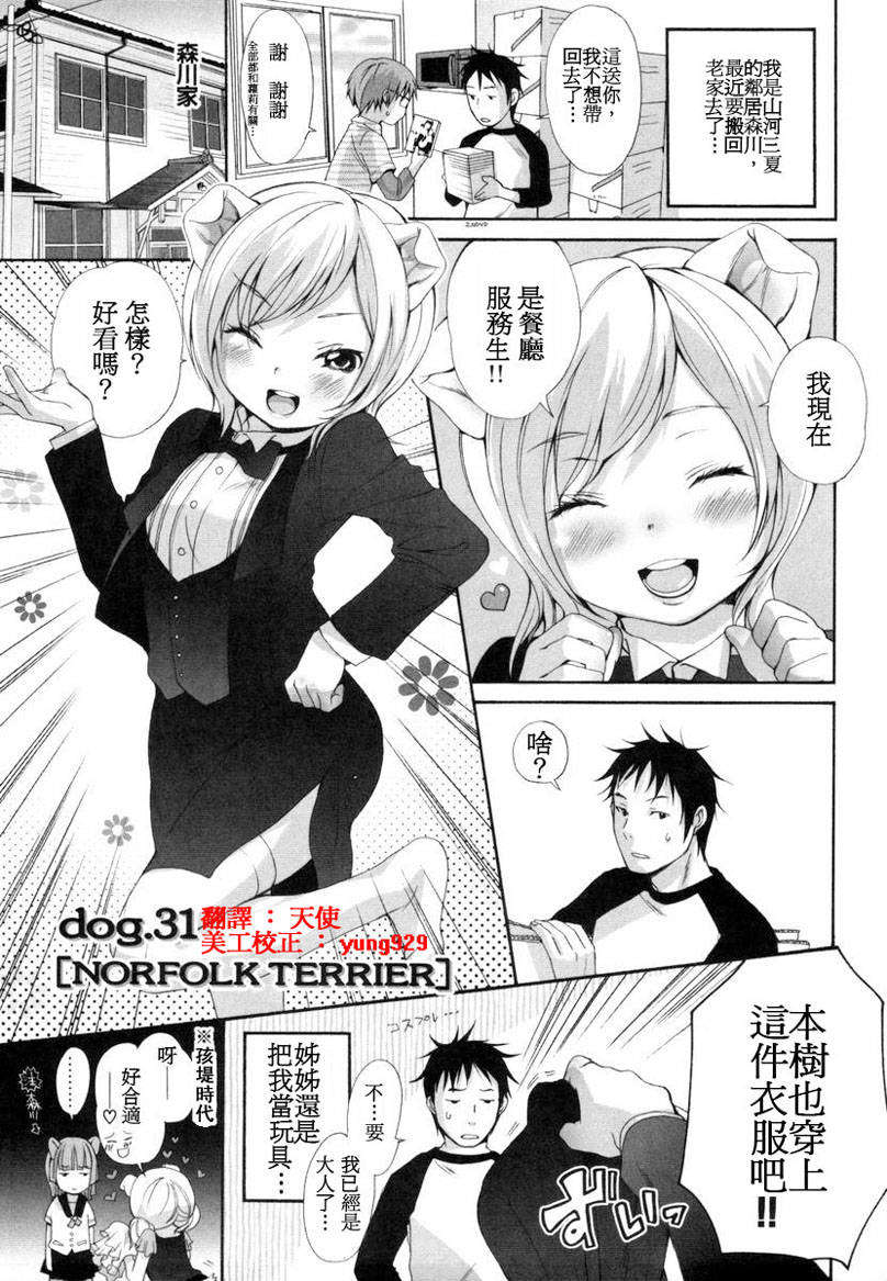 [いぬぶろ] いぬみみずかん 237/291 
