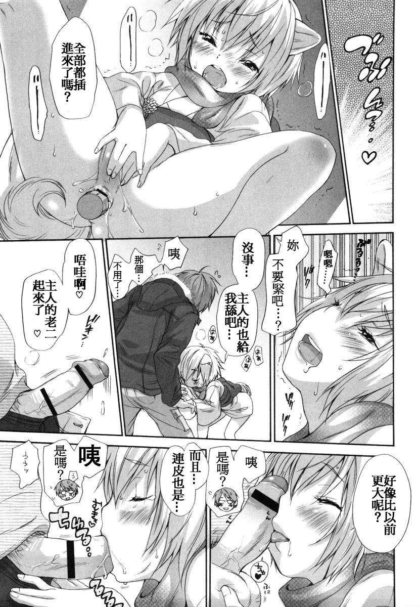 [いぬぶろ] いぬみみずかん 263/291 