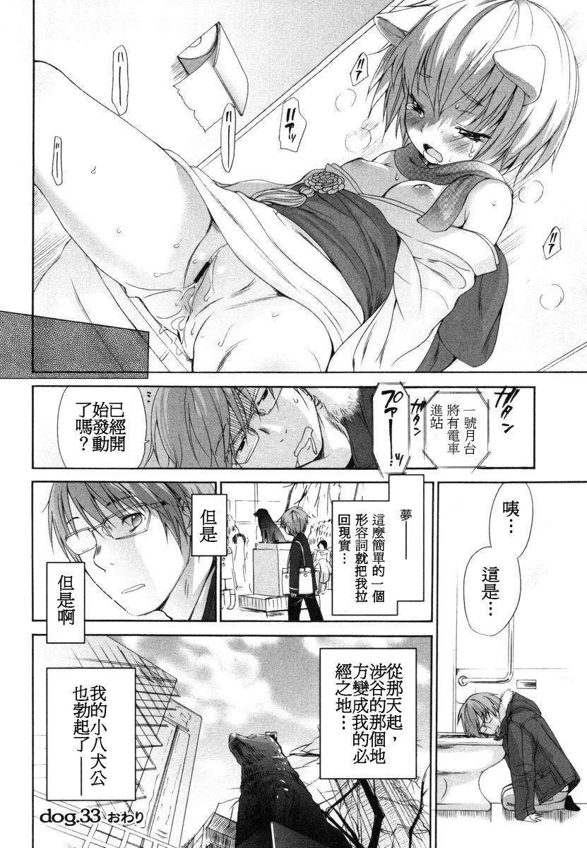 [いぬぶろ] いぬみみずかん 268/291 