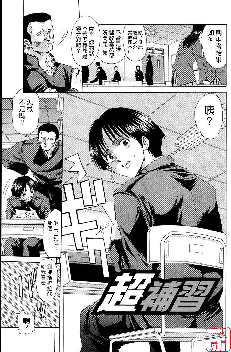 [ホリエ] スキドーシ 153/194 
