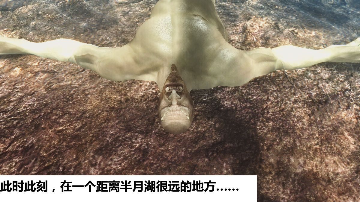 [lxp2142] 洛絲琳傳奇 持續更新 252/384 