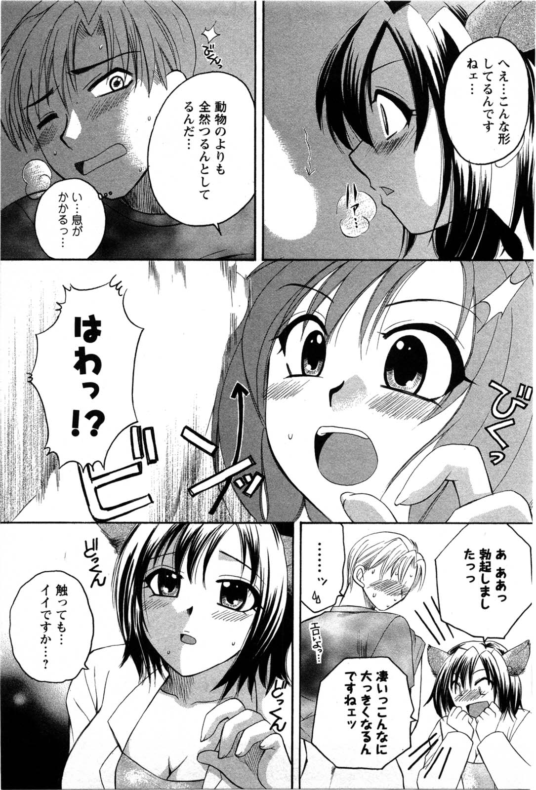 [嬉野めぐみ]セレブな淑女たち2009-3 168/183 