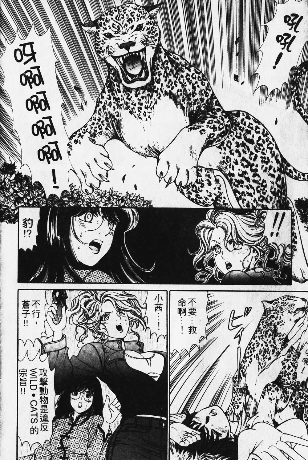 [小林拓己] ワイルド☆キャッツ [中國翻訳] [ページ欠落] 143/162 
