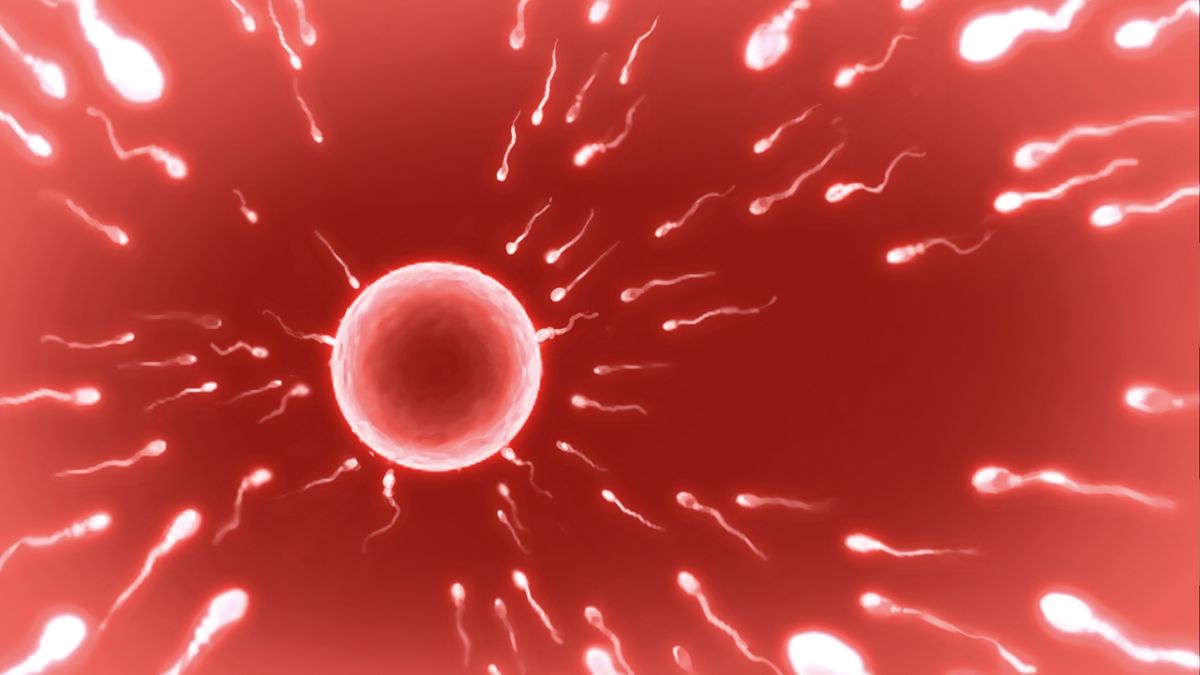 [大宮司][出會い系アプリでHなマ〇コにマッチング!! ～女子〇生に人妻に!ギャルやM女やアイドルまで～] 902/1070 