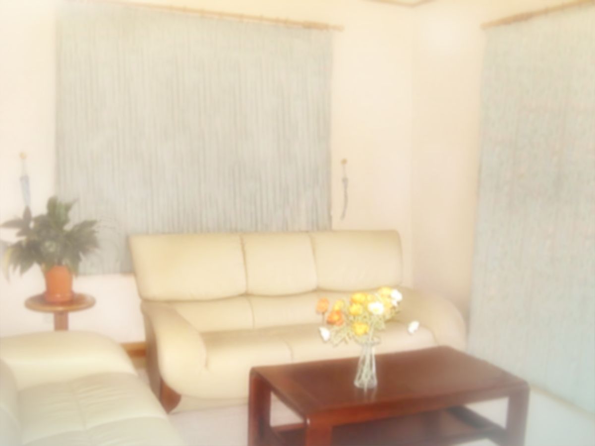 [いいなり美人][ロリっ婚一夫多妻製のイチャラブ日常] 263/521 