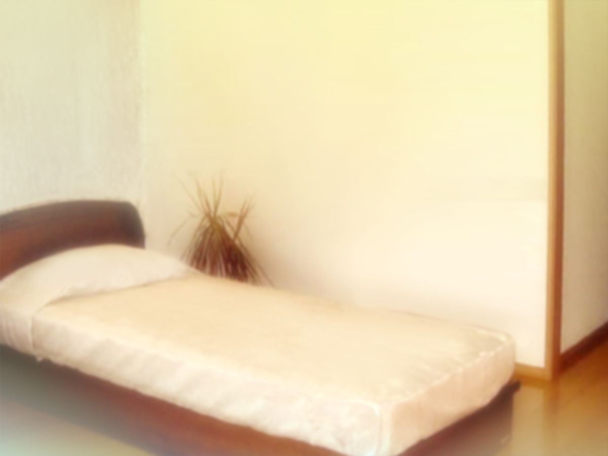 [いいなり美人][ロリっ婚一夫多妻製のイチャラブ日常] 323/521 