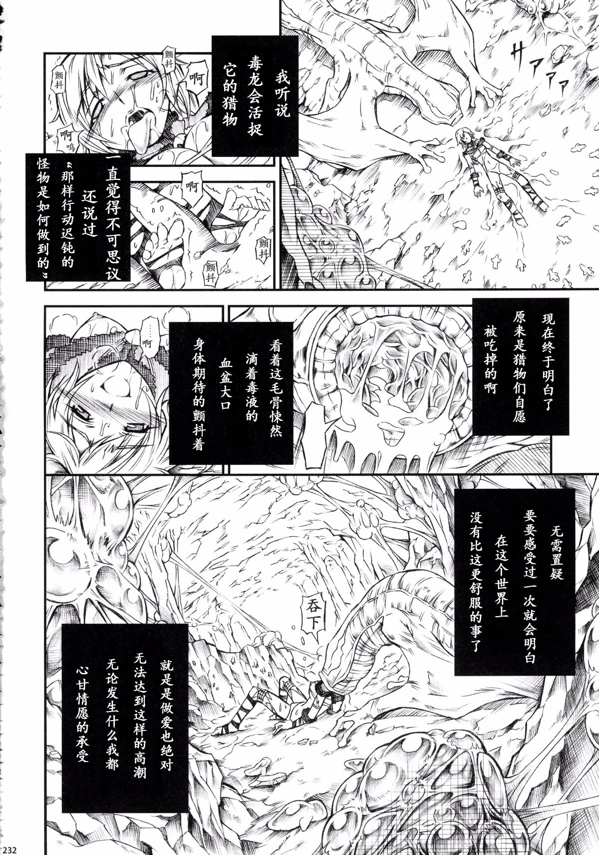 （c90）[Yokohama Junky (魔狩十織)] ペアハンターの生態[VK1062喵&萌紋 漢化]集合 236/250 