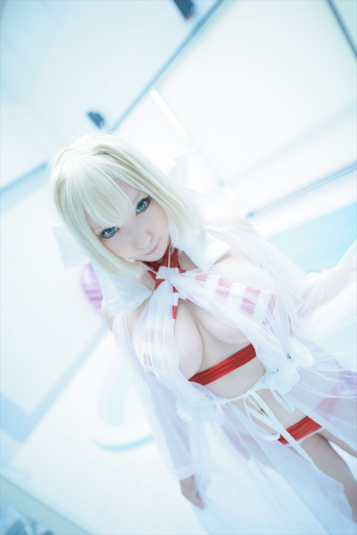 (C93) [Shooting Star's (Saku)] Nero Collection 173/340 