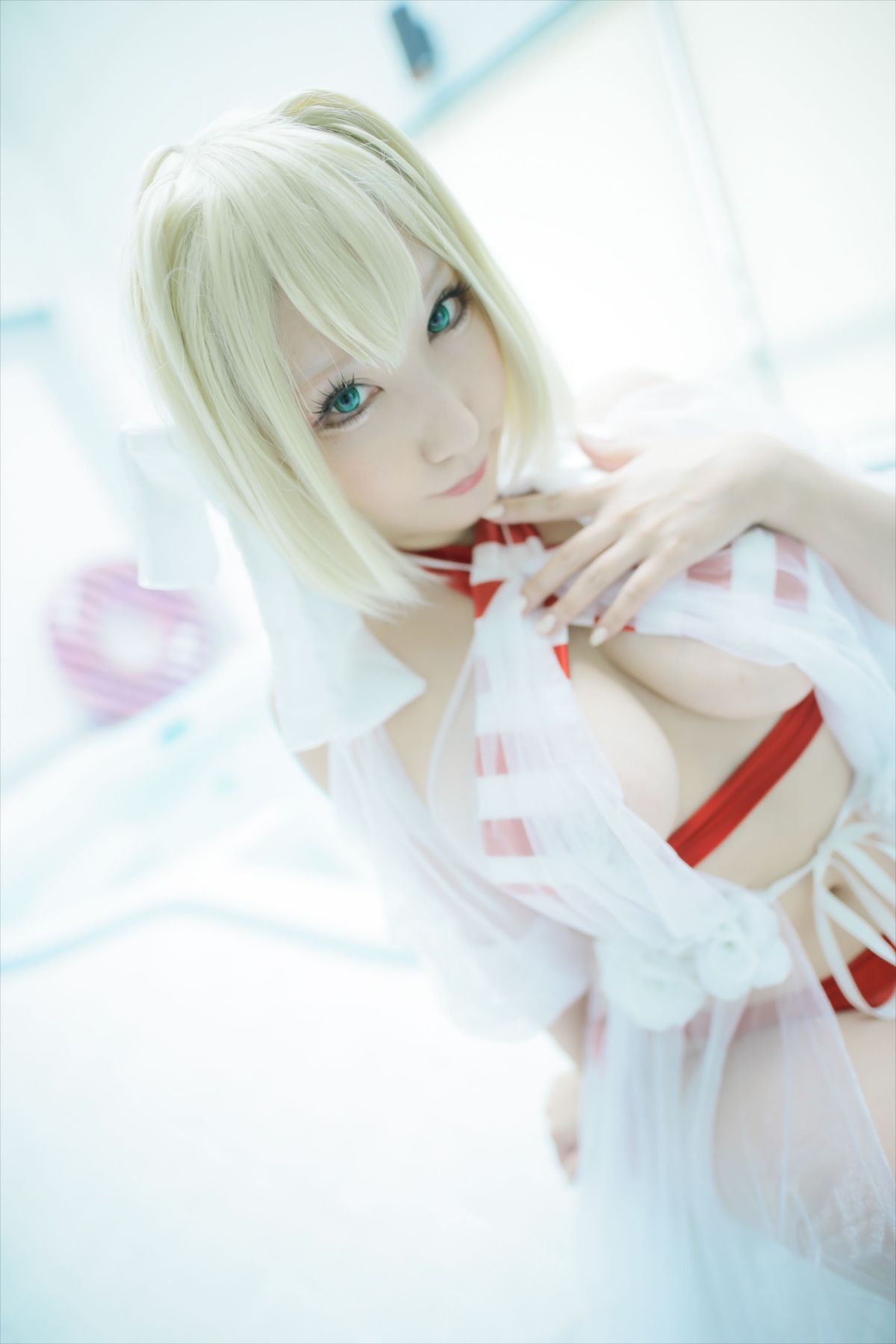 (C93) [Shooting Star's (Saku)] Nero Collection 177/340 