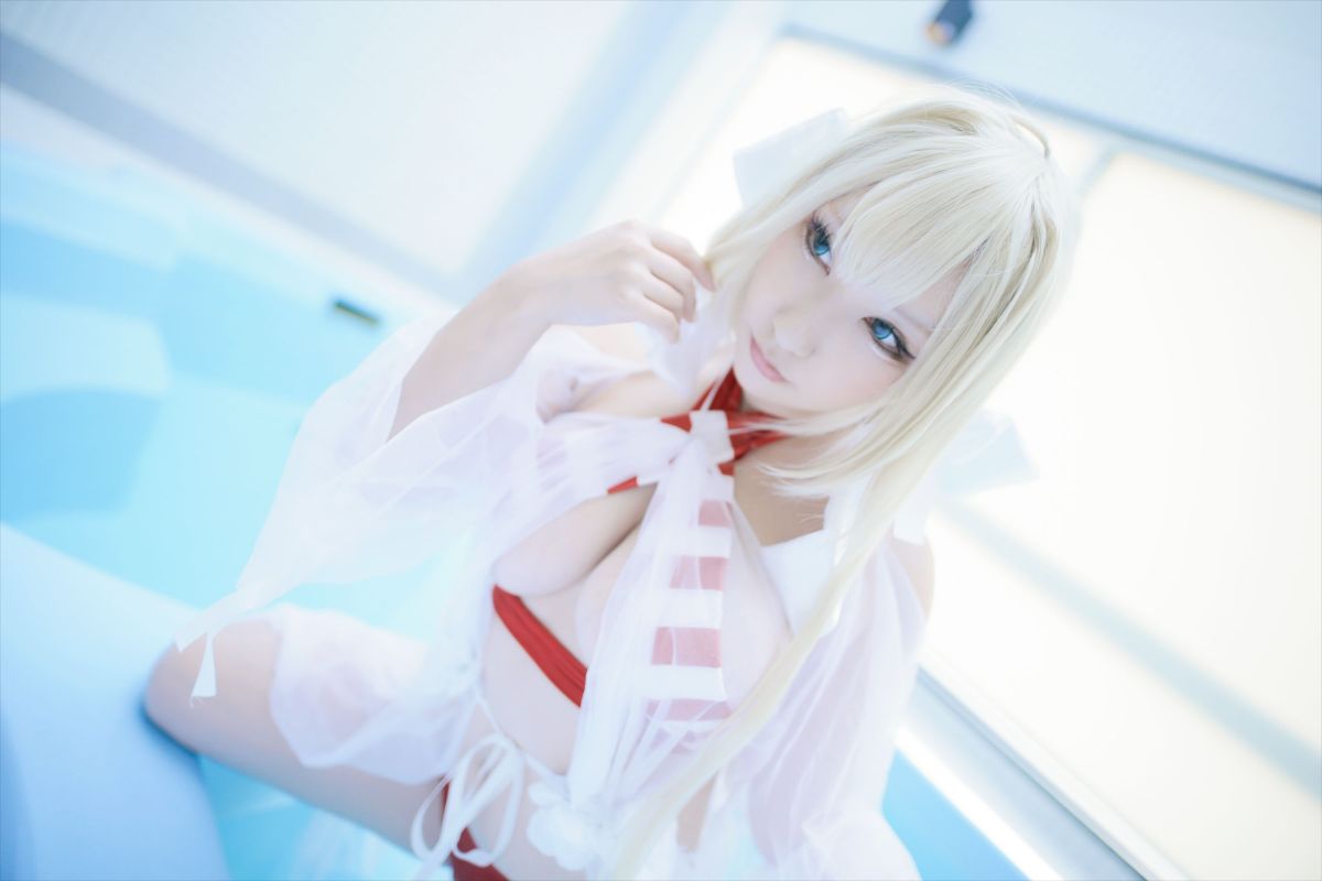(C93) [Shooting Star's (Saku)] Nero Collection 191/340 