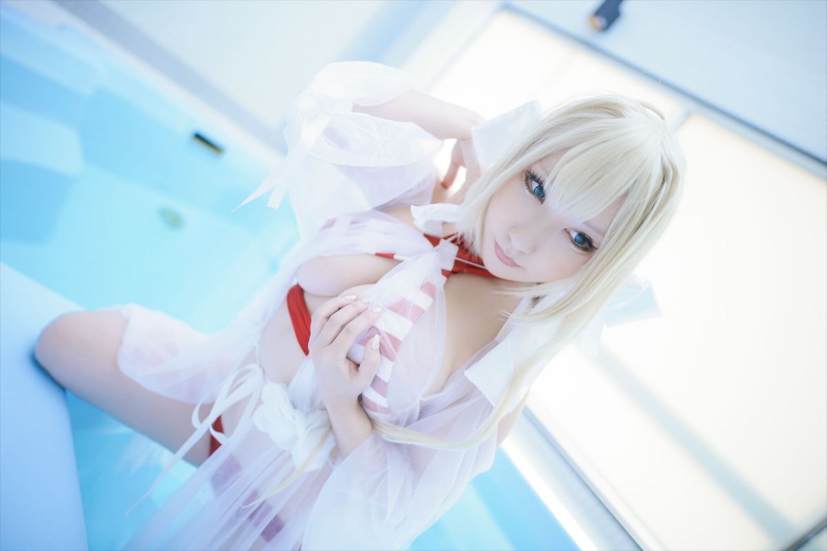 (C93) [Shooting Star's (Saku)] Nero Collection 193/340 