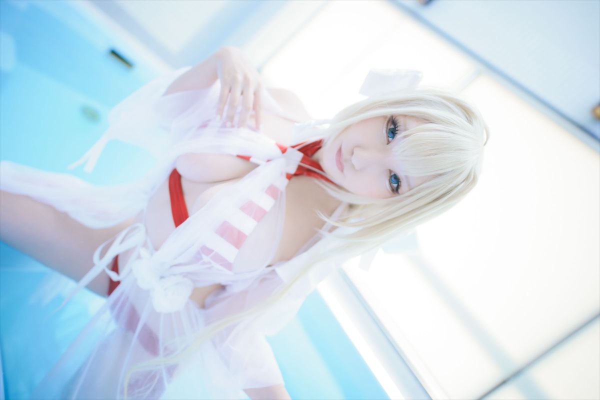 (C93) [Shooting Star's (Saku)] Nero Collection 194/340 