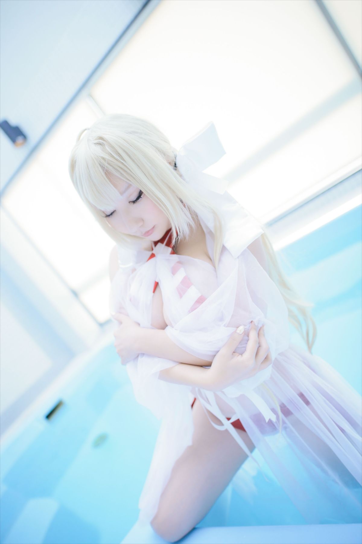 (C93) [Shooting Star's (Saku)] Nero Collection 195/340 