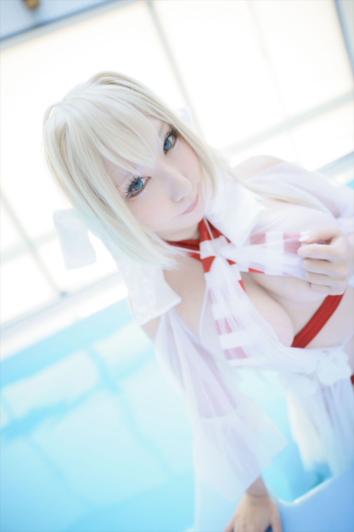 (C93) [Shooting Star's (Saku)] Nero Collection 201/340 